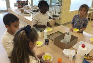 Slime img_2752_0