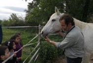 Cavalls edf