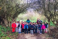 Anella verda P4 img_5783