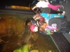 dscn3767