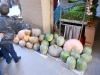 dscn0880