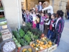 dscn0884
