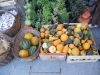 dscn0886