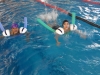 img_20160203_153606