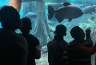 IMG_8266 IMG_8266